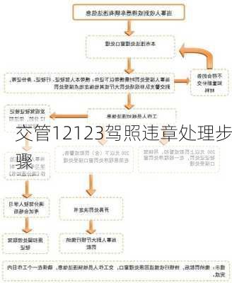 交管12123驾照违章处理步骤