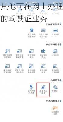 其他可在网上办理的驾驶证业务
