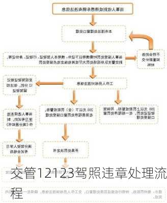 交管12123驾照违章处理流程