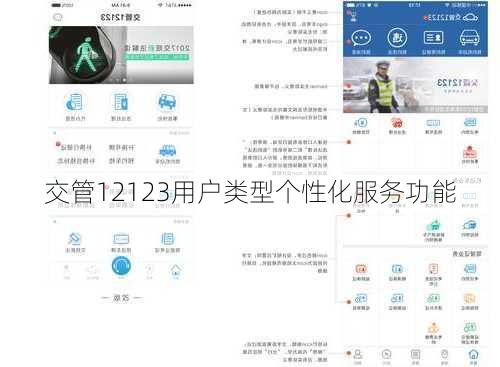 交管12123用户类型个性化服务功能