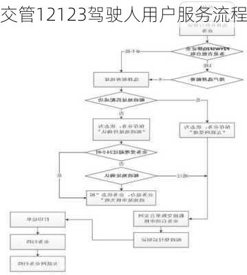 交管12123驾驶人用户服务流程