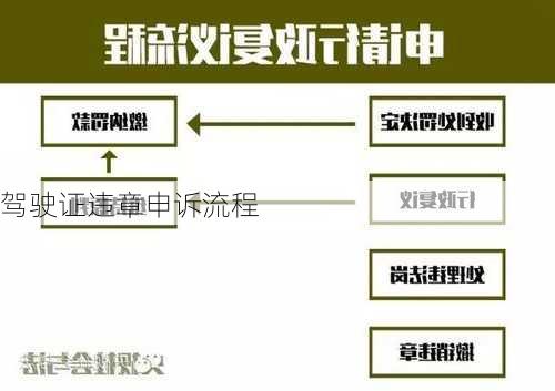 驾驶证违章申诉流程