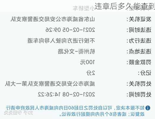 违章后多久能查到