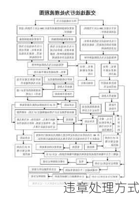 违章处理方式
