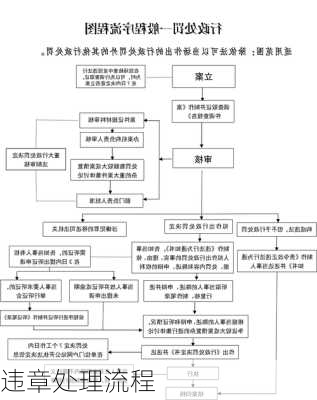 违章处理流程