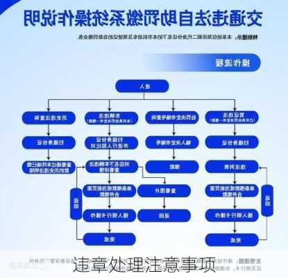 违章处理注意事项
