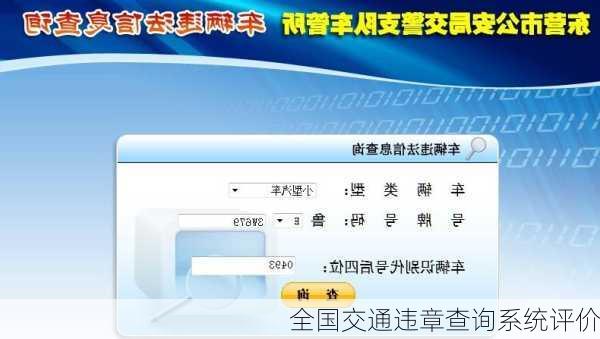 全国交通违章查询系统评价