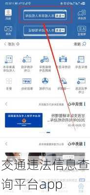 交通违法信息查询平台app