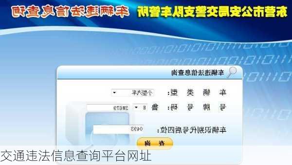 交通违法信息查询平台网址