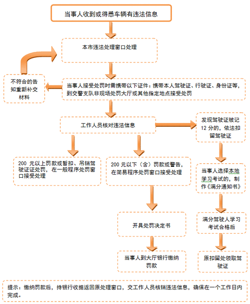 违章查询系统操作指南