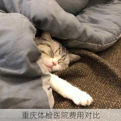 重庆体检医院费用对比