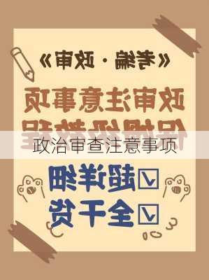 政治审查注意事项