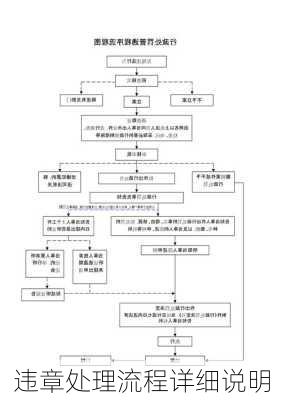 违章处理流程详细说明
