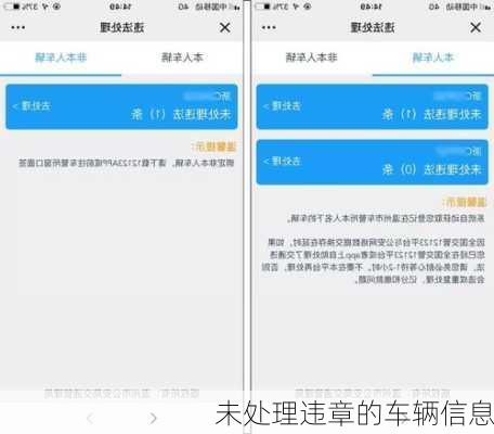 未处理违章的车辆信息