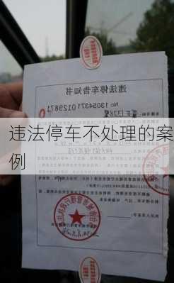 违法停车不处理的案例