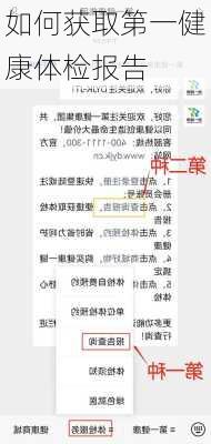 如何获取第一健康体检报告