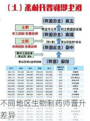 不同地区生物制药师晋升差异