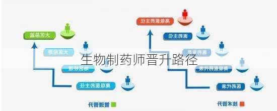 生物制药师晋升路径