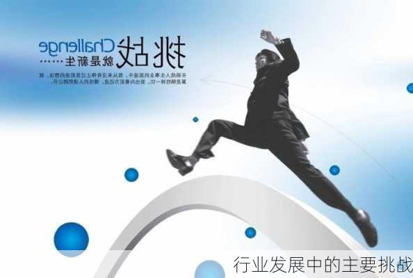 行业发展中的主要挑战