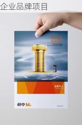 企业品牌项目