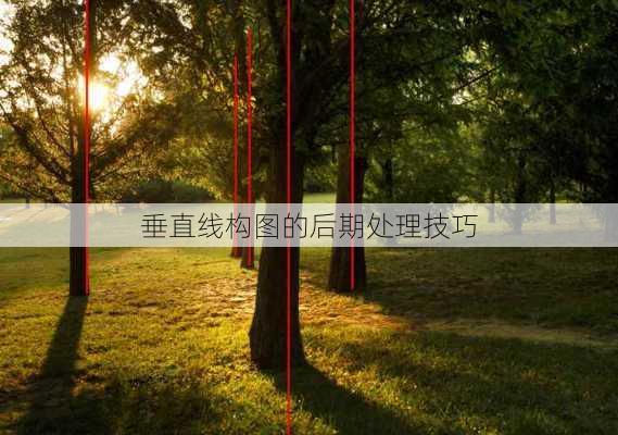 垂直线构图的后期处理技巧