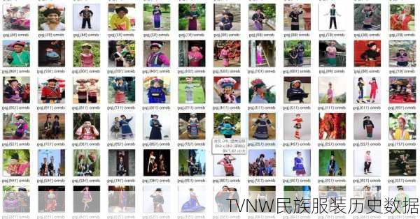 TVNW民族服装历史数据