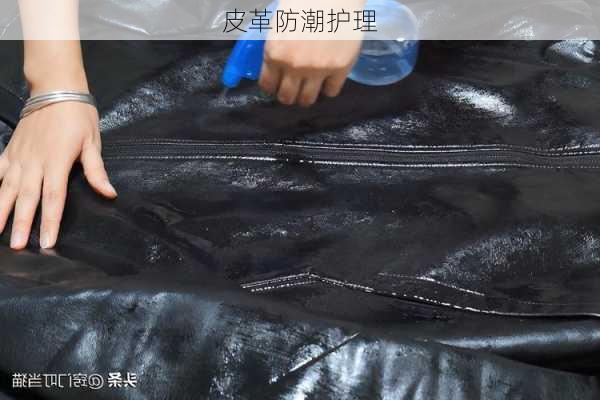 皮革防潮护理