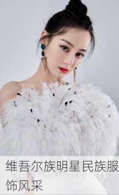 维吾尔族明星民族服饰风采