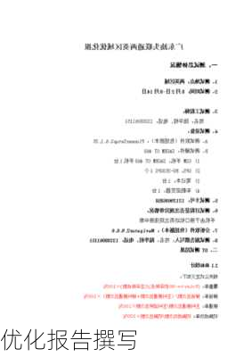 优化报告撰写
