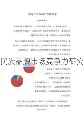 民族品牌市场竞争力研究