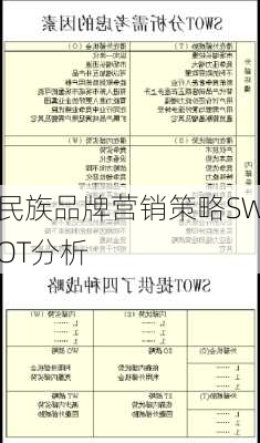 民族品牌营销策略SWOT分析