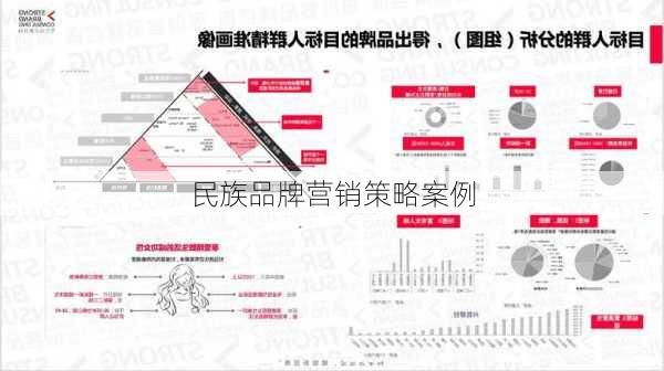 民族品牌营销策略案例