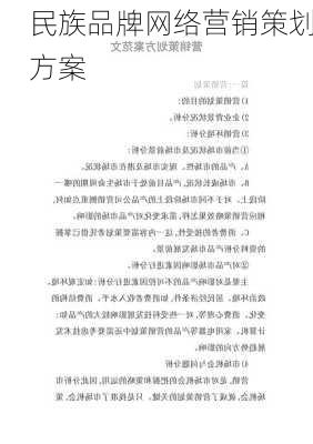 民族品牌网络营销策划方案