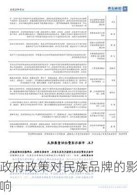 政府政策对民族品牌的影响