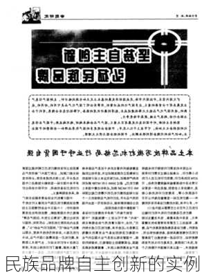 民族品牌自主创新的实例