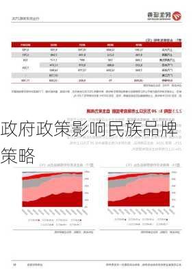 政府政策影响民族品牌策略