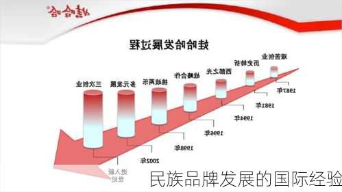 民族品牌发展的国际经验
