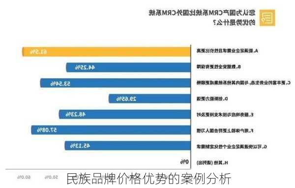 民族品牌价格优势的案例分析