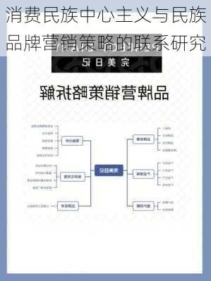 消费民族中心主义与民族品牌营销策略的联系研究