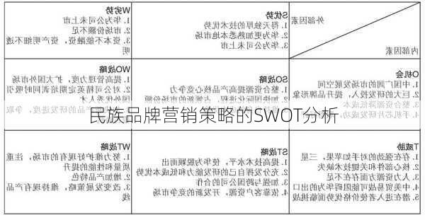 民族品牌营销策略的SWOT分析