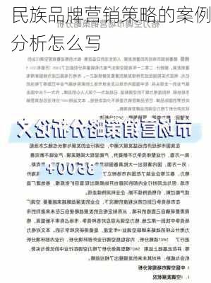 民族品牌营销策略的案例分析怎么写