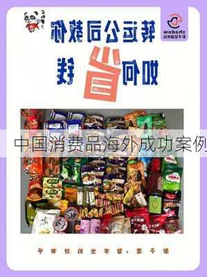 中国消费品海外成功案例
