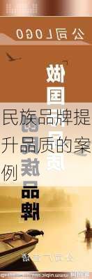 民族品牌提升品质的案例