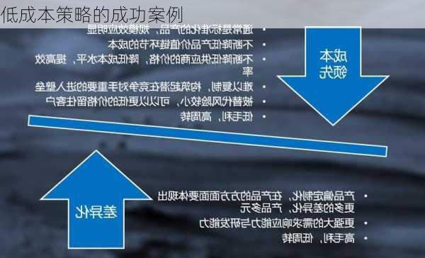低成本策略的成功案例