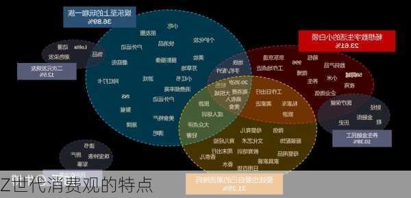 Z世代消费观的特点