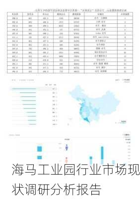 海马工业园行业市场现状调研分析报告