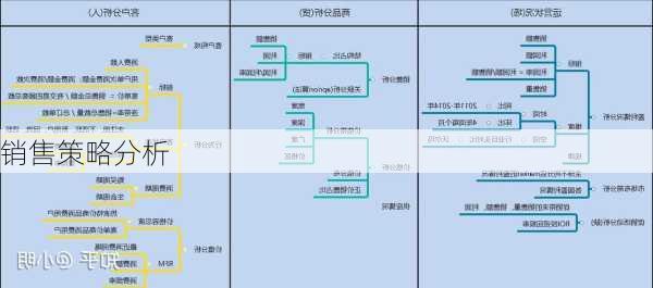 销售策略分析