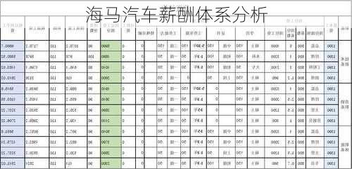 海马汽车薪酬体系分析