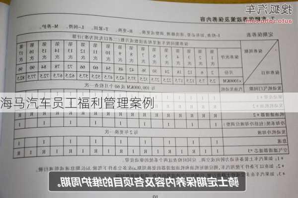 海马汽车员工福利管理案例