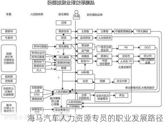 海马汽车人力资源专员的职业发展路径